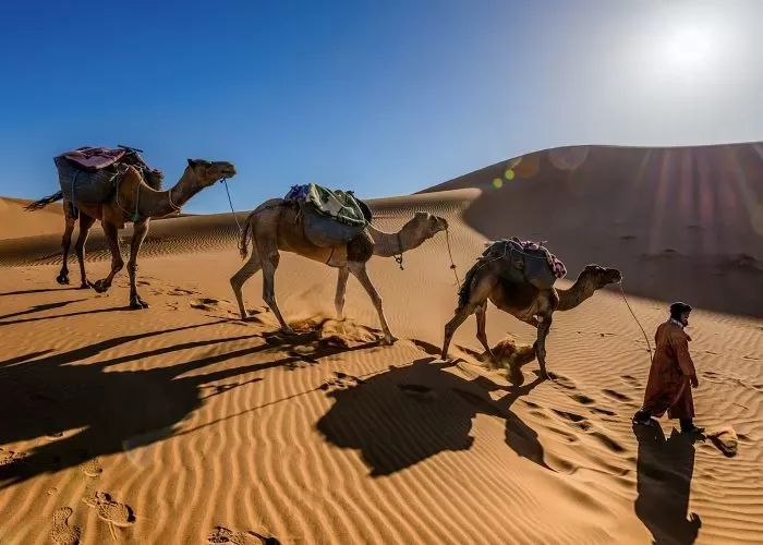 Merzouga Sahara Golden Dunes