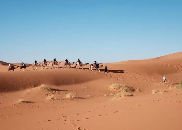Sahara Tour